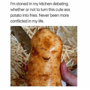 1733643884354.png