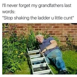 1738530677153.jpeg