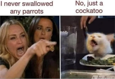 1738752757653.png