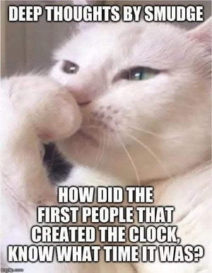 1739435997706.png