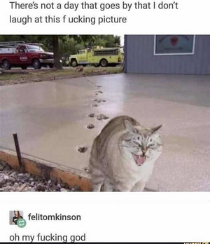 1740095585633.png