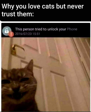 1740246371628.png