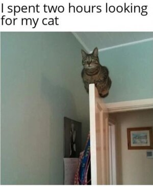 1740256662633.jpeg