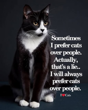 1740485658585.png