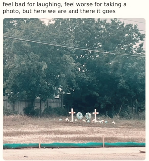 1741981247813.png