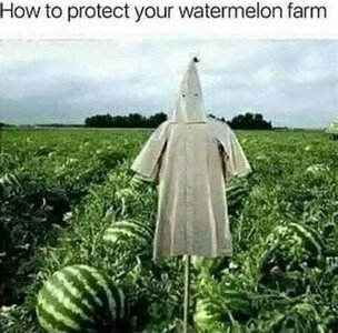 1742146098673.jpeg