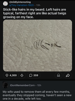 1742251445725.png