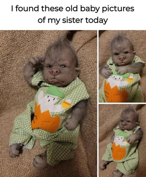 1742345838486.png