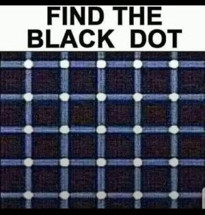 1742424987431.jpeg