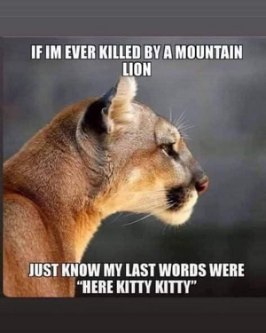 1742764851285.png