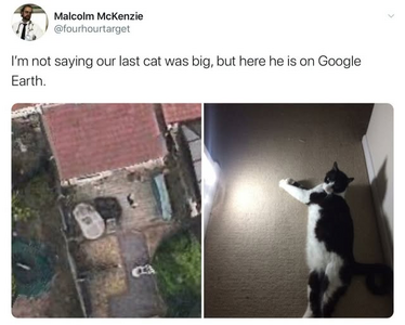 1743174042884.png