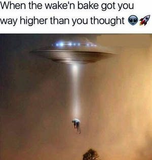 1743174251918.png