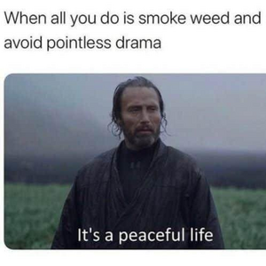 1743289848288.png