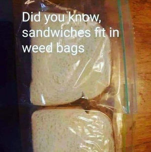 1743312850287.png