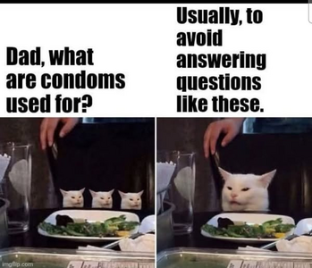 1743547497952.png