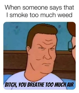 1743802072753.png
