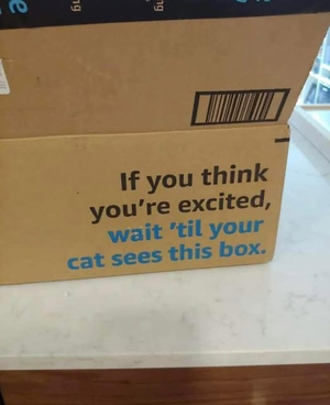 1743853919030.png