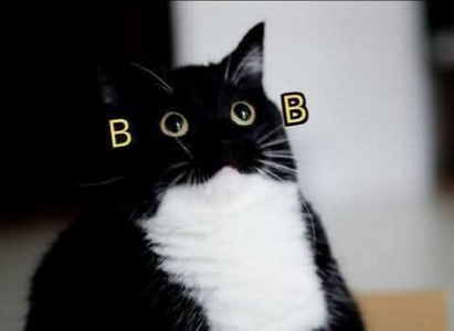 1743857524719.png