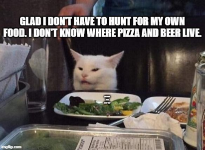 1743996893753.png