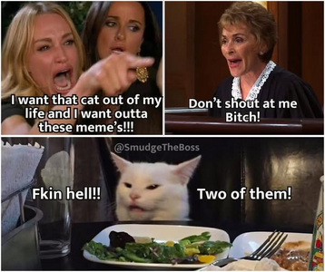 1744099191335.png
