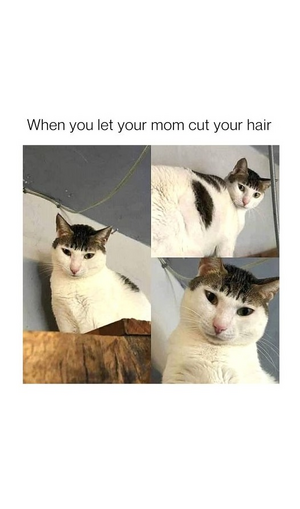 1744170526679.png
