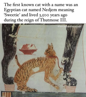 1744273206816.png