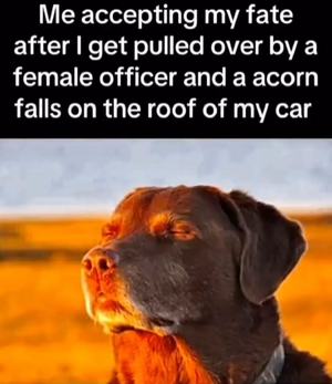 1744322054899.png