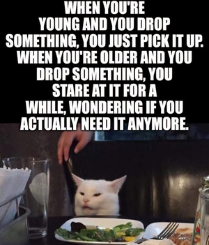 1744466524204.png