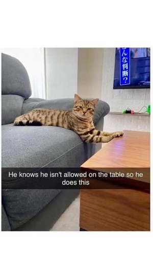 1744543908379.png