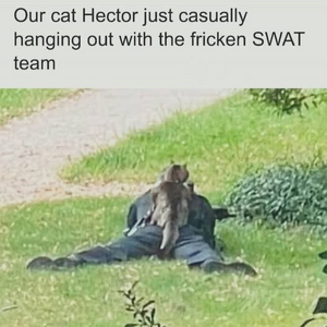 1744686635938.png