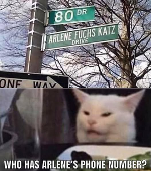 1744726941335.png