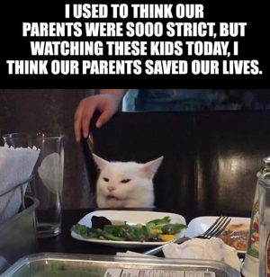 1744737096352.png