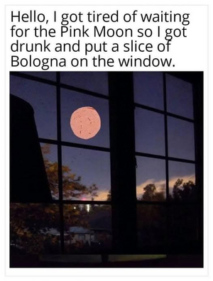 1744818015385.png