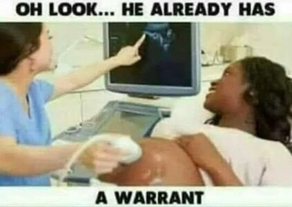 1745262946497.jpeg