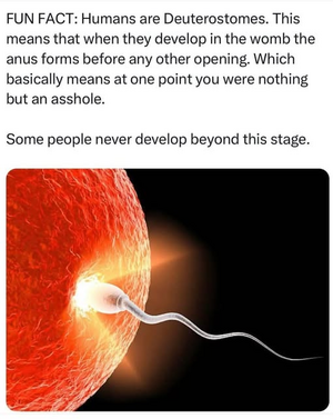 1745682484641.png