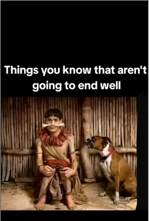 1745713767028.png
