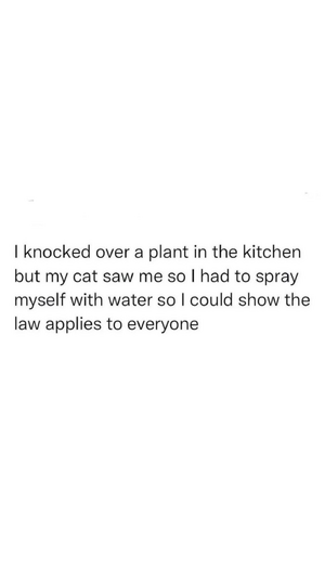 1745865865057.png