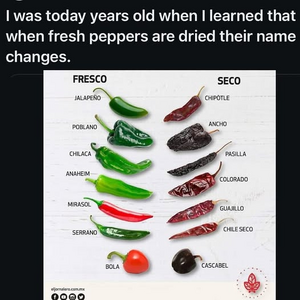 1745883849130.png
