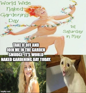 1746290921769.png