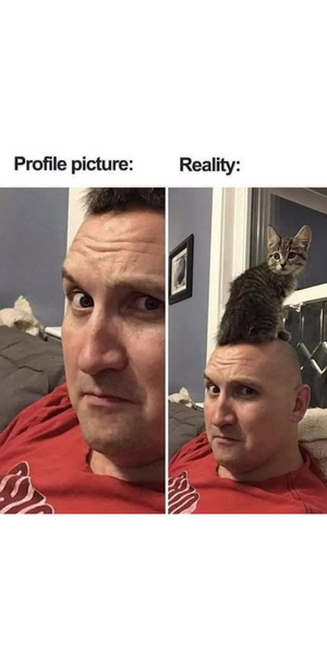 1746360406319.png
