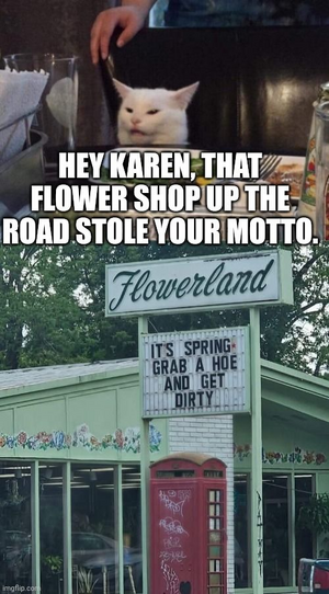 1746384998342.png