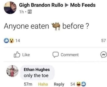 1746391680117.jpeg