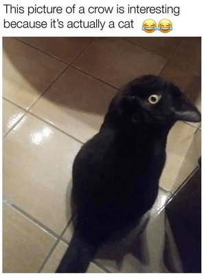 1746406038892.png