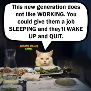 1746454358646.png
