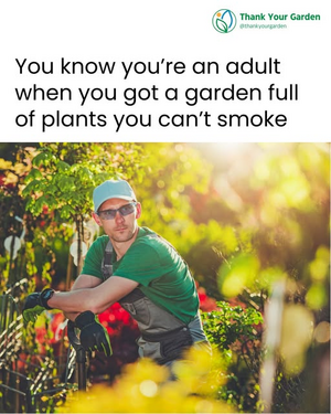 1746562258976.png