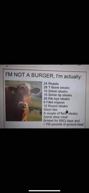1746567849336.png