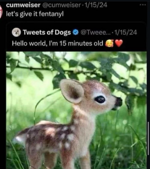 1746836433823.png