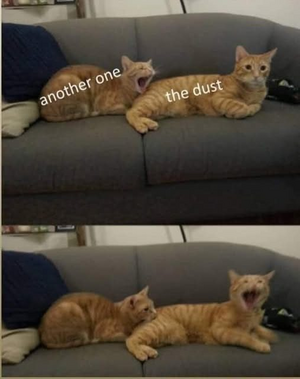 1746850996502.png