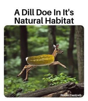1746915058467.png