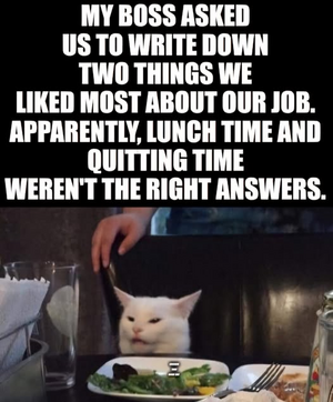 1746915667238.png